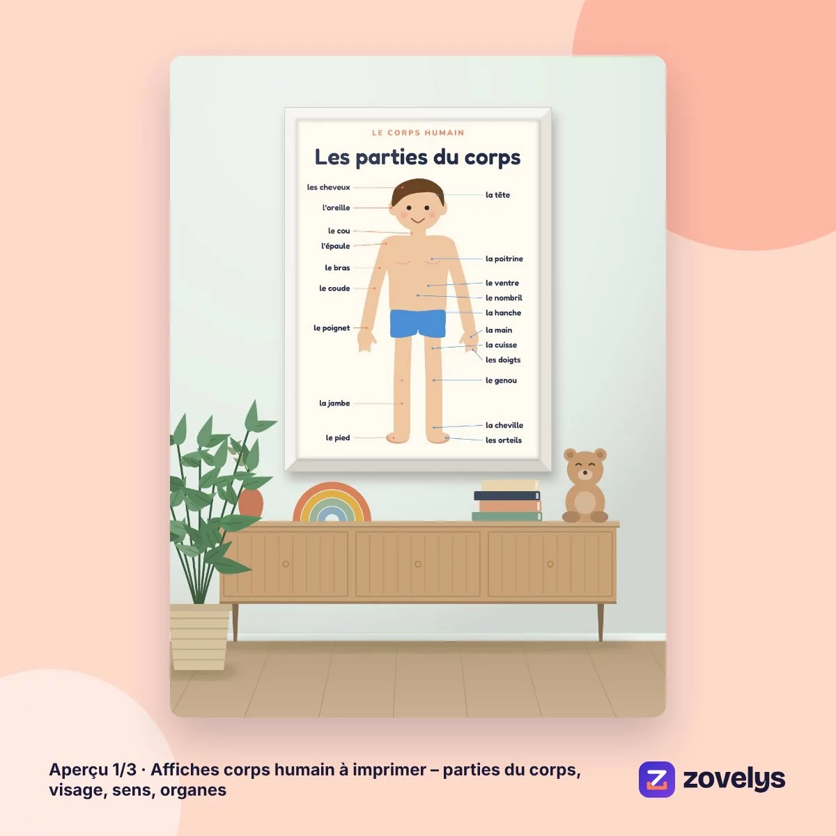 Affiches corps humain à imprimer – parties du corps, visage, sens, organes – aperçu 1
