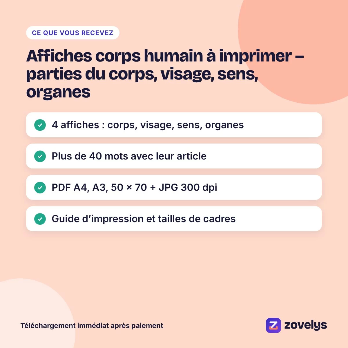 Affiches corps humain à imprimer – parties du corps, visage, sens, organes – aperçu 4