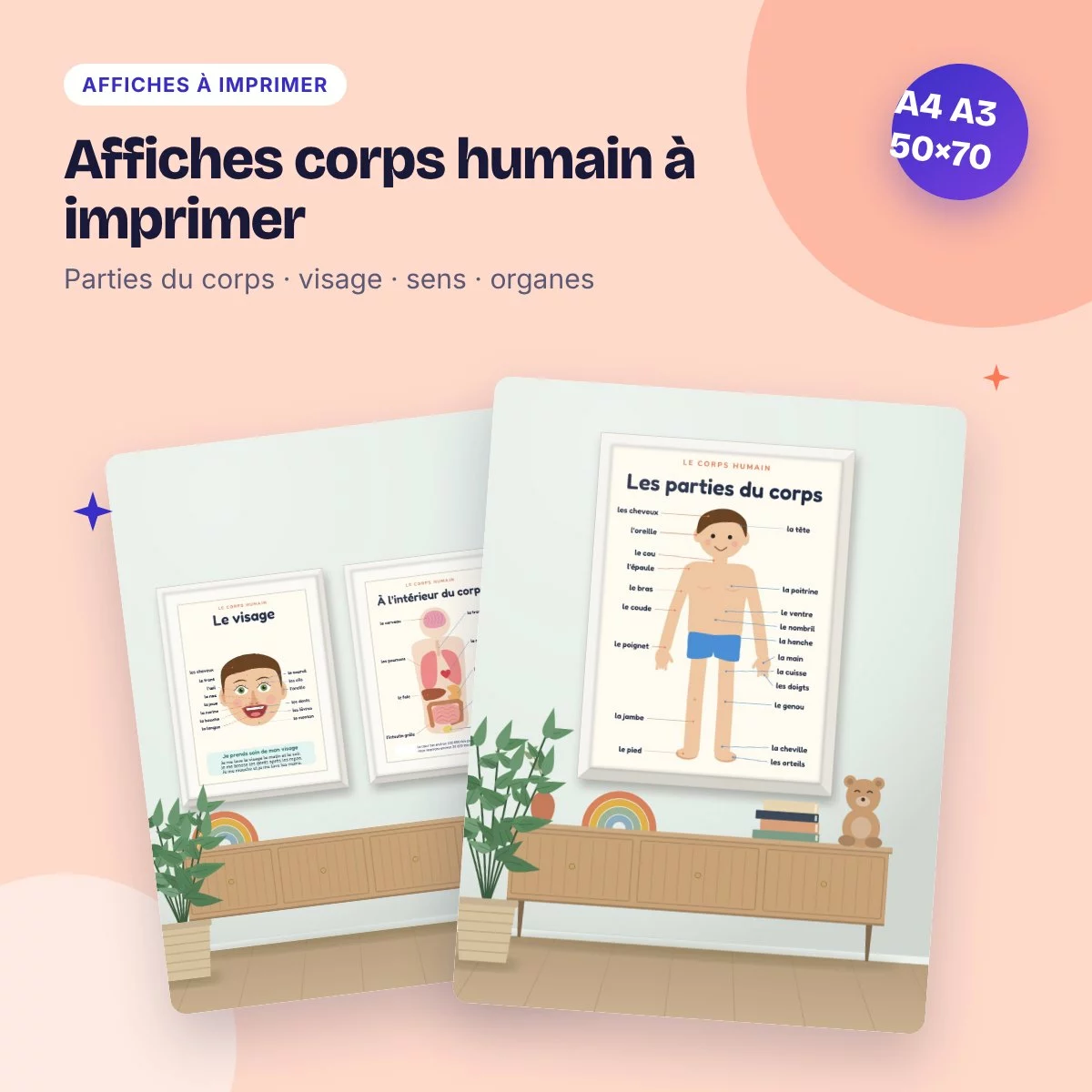 Affiches corps humain à imprimer – parties du corps, visage, sens, organes