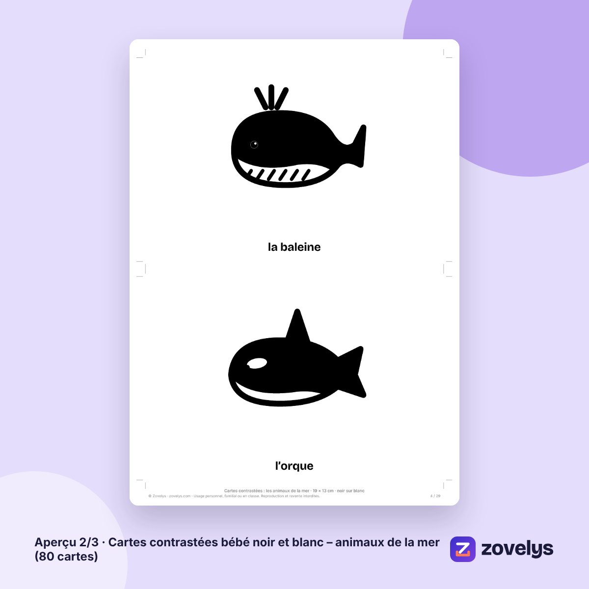 Cartes contrastées bébé noir et blanc – animaux de la mer (80 cartes) – aperçu 2