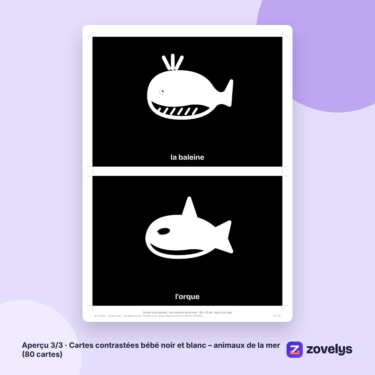 Cartes contrastées bébé noir et blanc – animaux de la mer (80 cartes) – aperçu 3