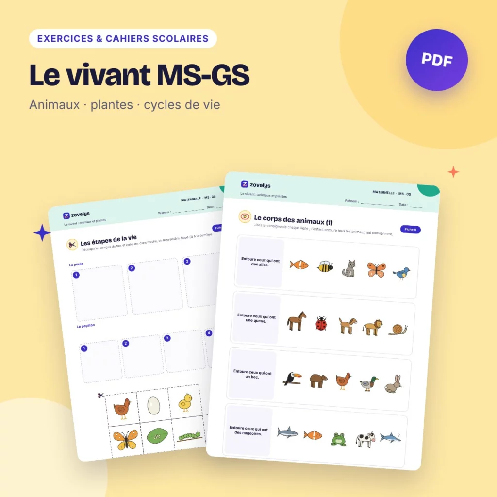 Le vivant MS-GS – animaux, plantes et cycles de vie, 50 fiches