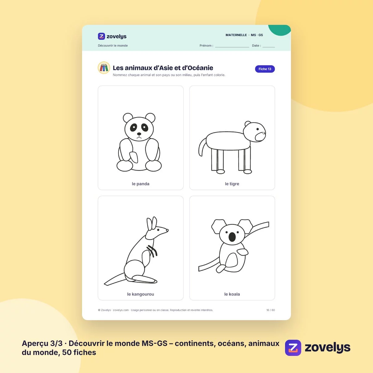 Découvrir le monde MS-GS – continents, océans, animaux du monde, 50 fiches – aperçu 3