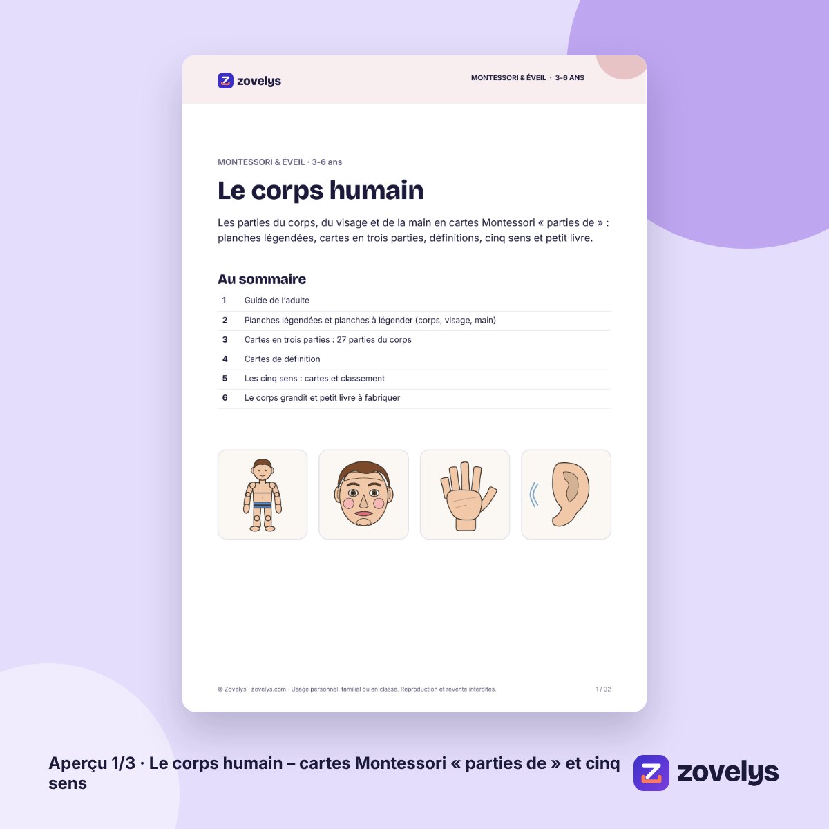 Le corps humain – cartes Montessori « parties de » et cinq sens – aperçu 1