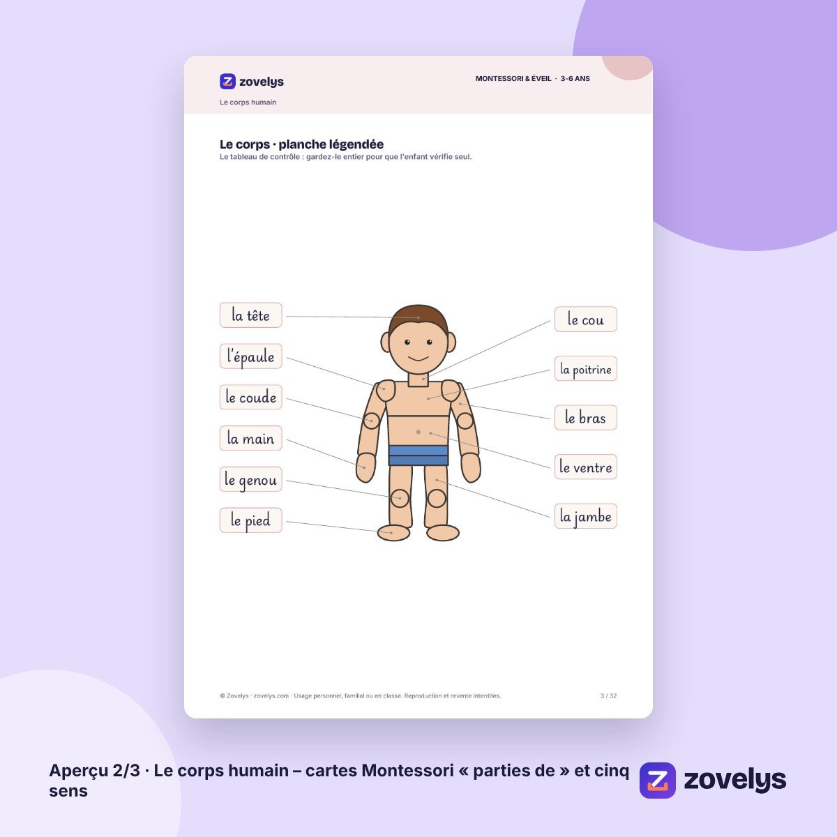 Le corps humain – cartes Montessori « parties de » et cinq sens – aperçu 2