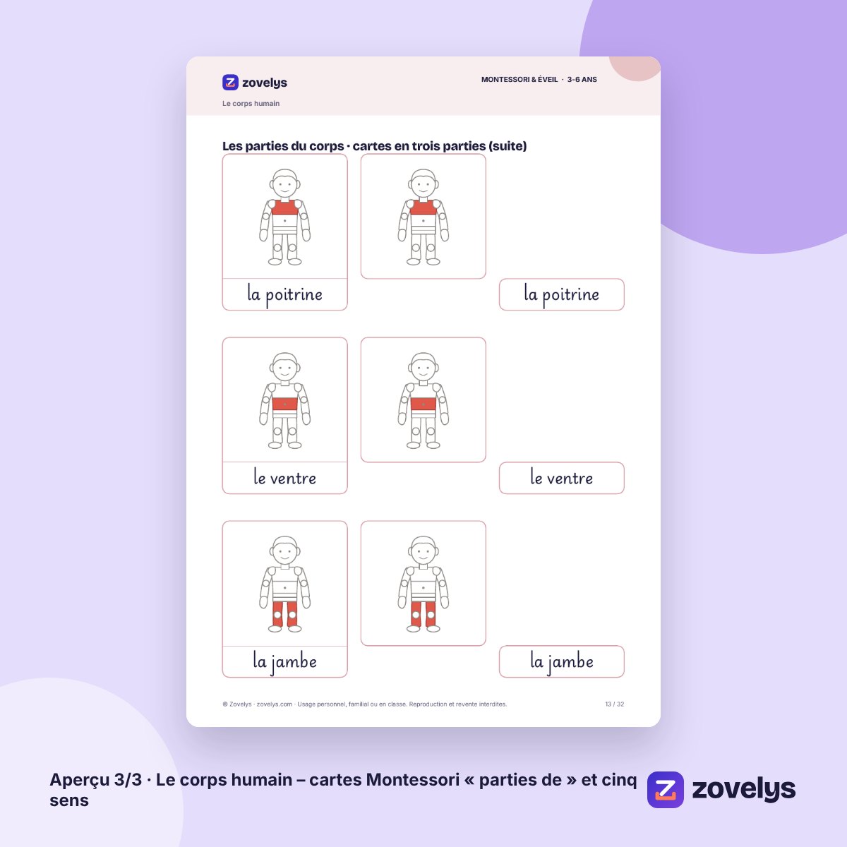 Le corps humain – cartes Montessori « parties de » et cinq sens – aperçu 3