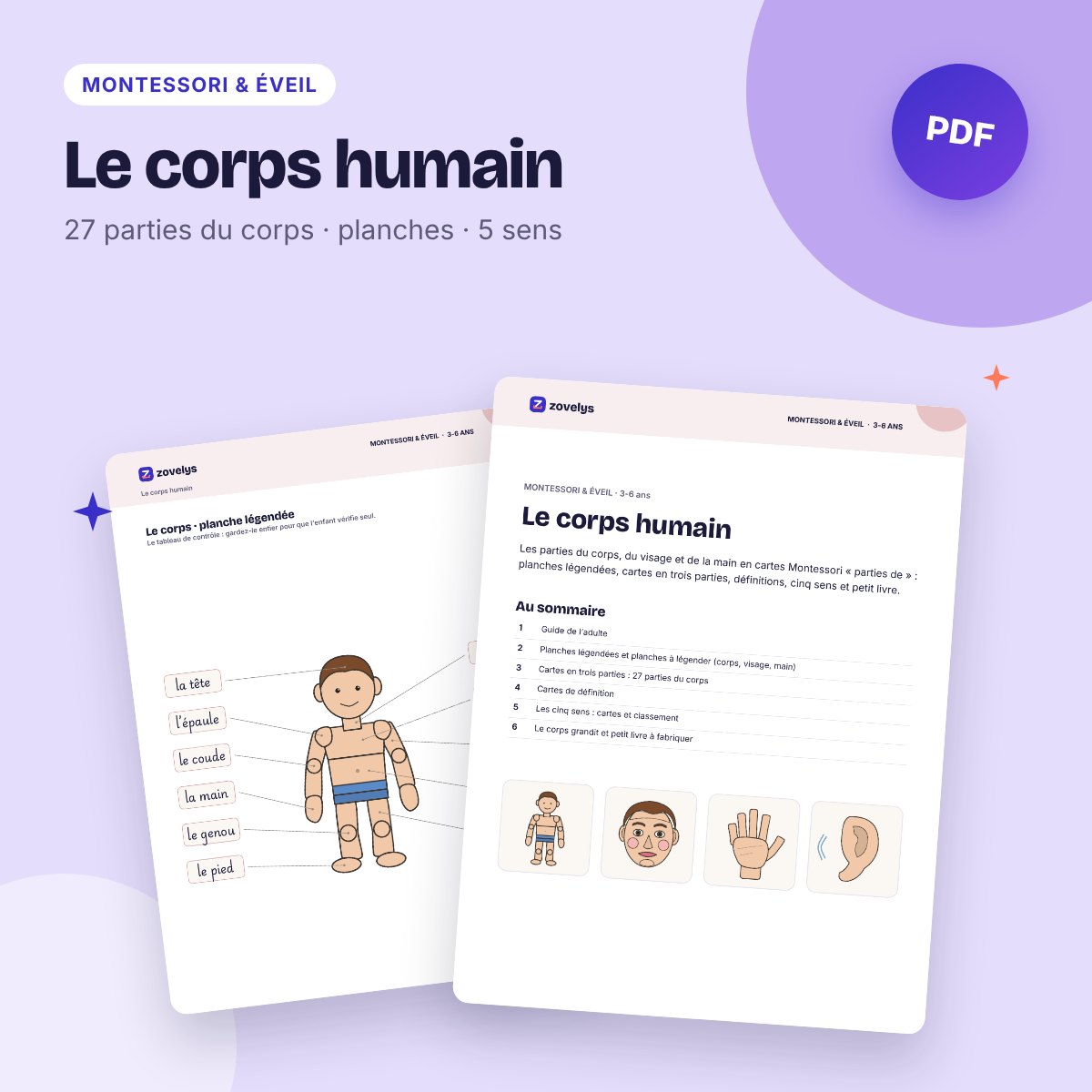 Le corps humain – cartes Montessori « parties de » et cinq sens