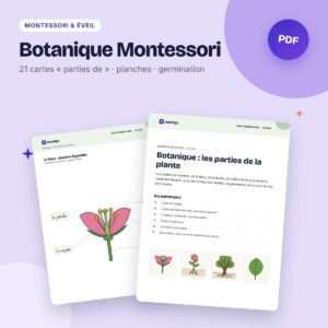 Botanique Montessori – parties de la plante, de la fleur et de l’arbre