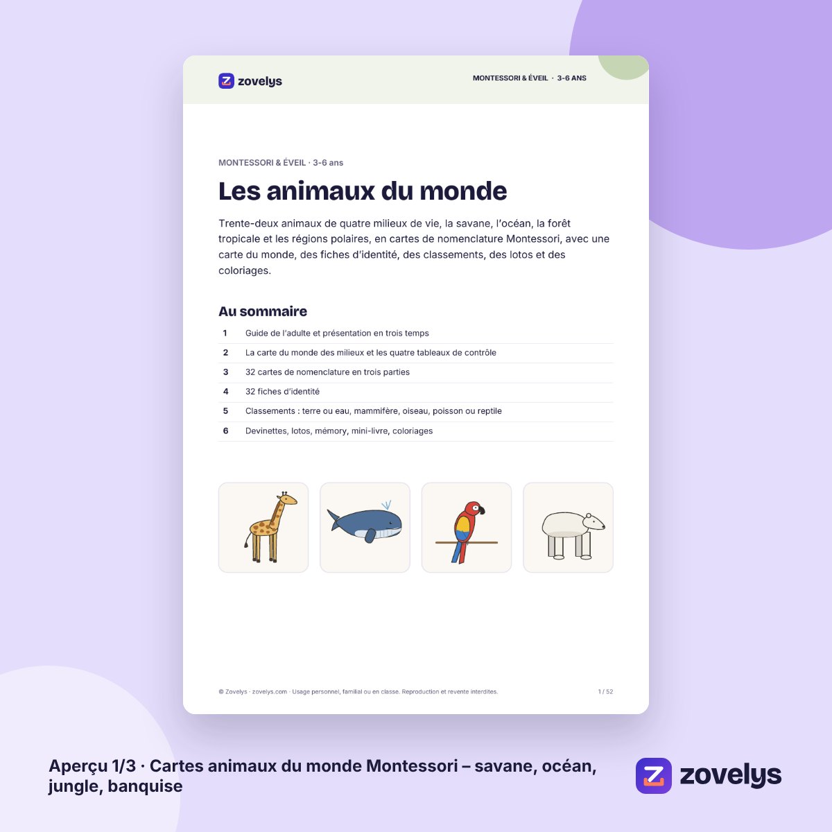 Cartes animaux du monde Montessori – savane, océan, jungle, banquise – aperçu 1