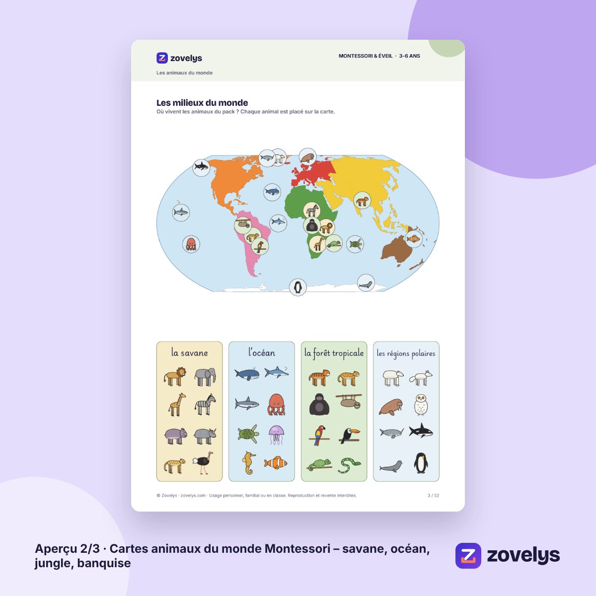 Cartes animaux du monde Montessori – savane, océan, jungle, banquise – aperçu 2