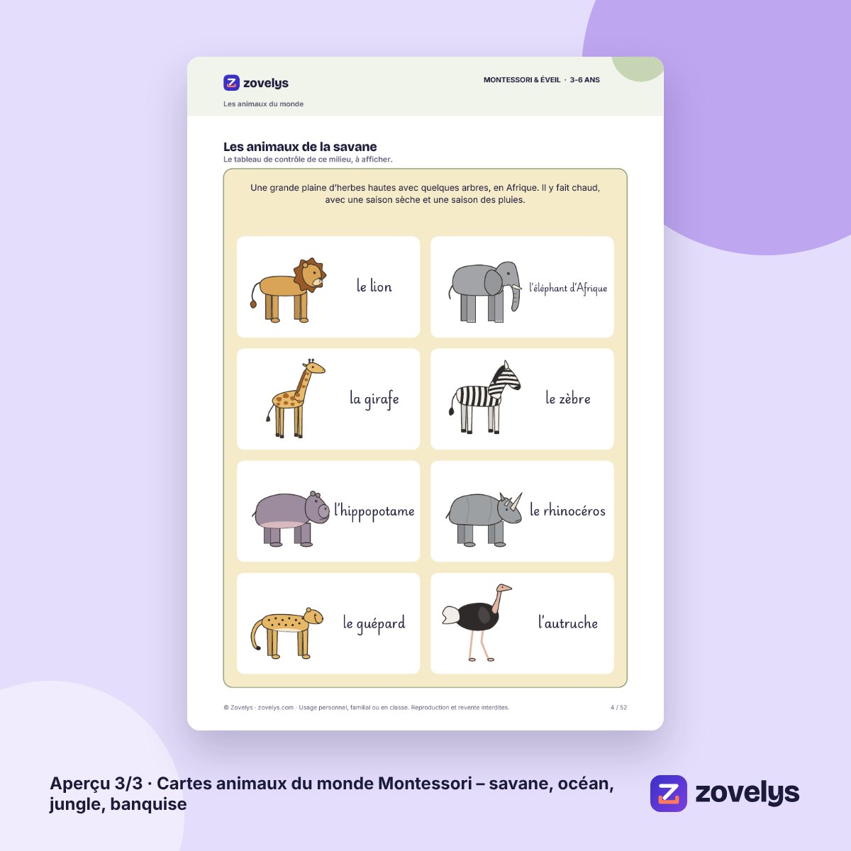 Cartes animaux du monde Montessori – savane, océan, jungle, banquise – aperçu 3