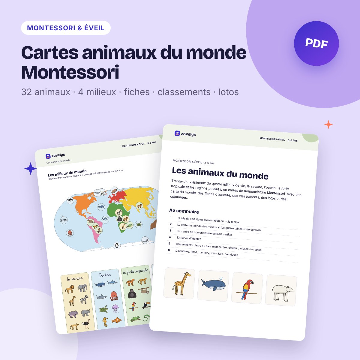 Cartes animaux du monde Montessori – savane, océan, jungle, banquise