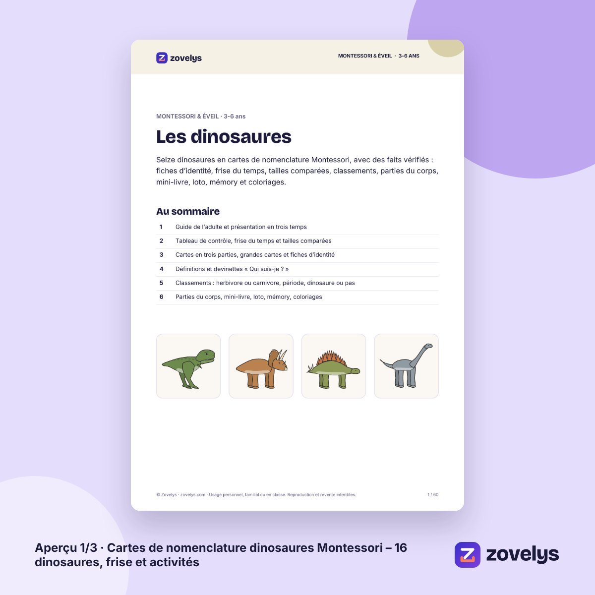 Cartes de nomenclature dinosaures Montessori – 16 dinosaures, frise et activités – aperçu 1
