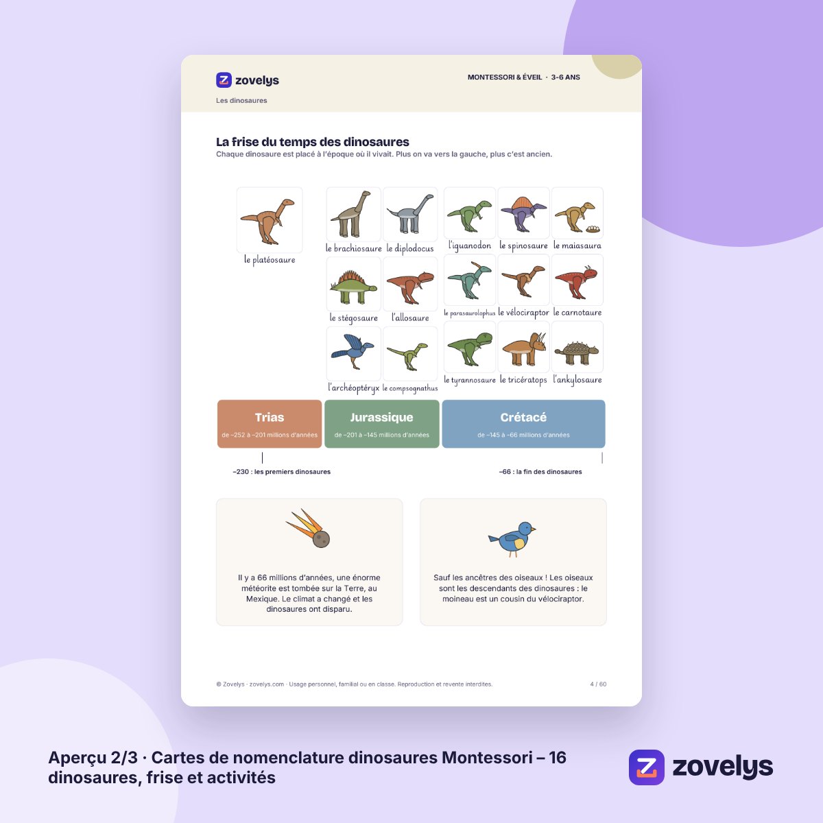 Cartes de nomenclature dinosaures Montessori – 16 dinosaures, frise et activités – aperçu 2