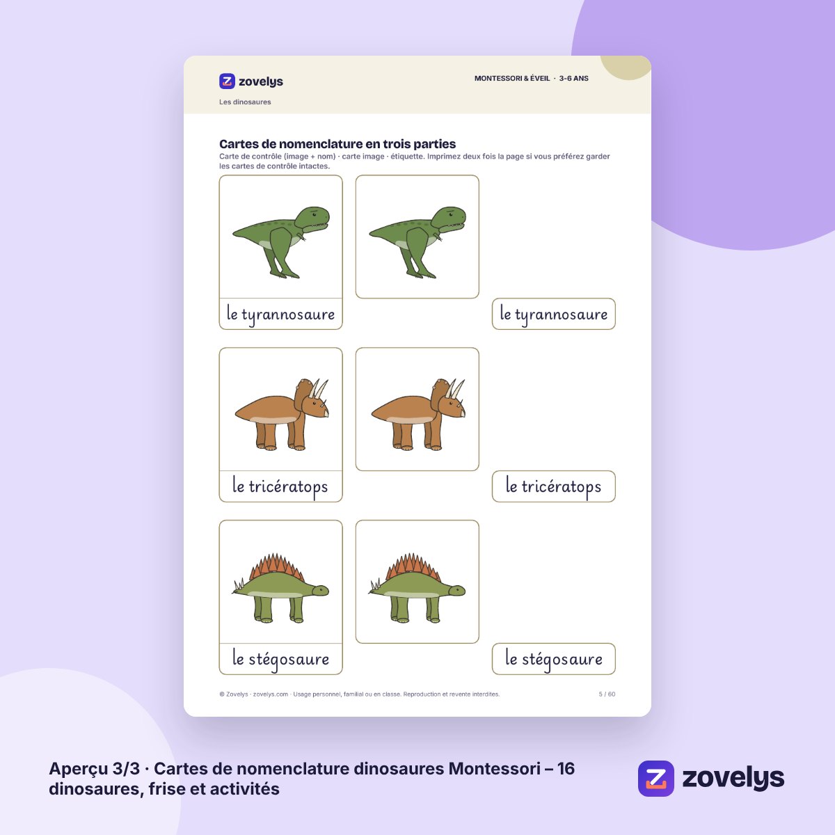 Cartes de nomenclature dinosaures Montessori – 16 dinosaures, frise et activités – aperçu 3