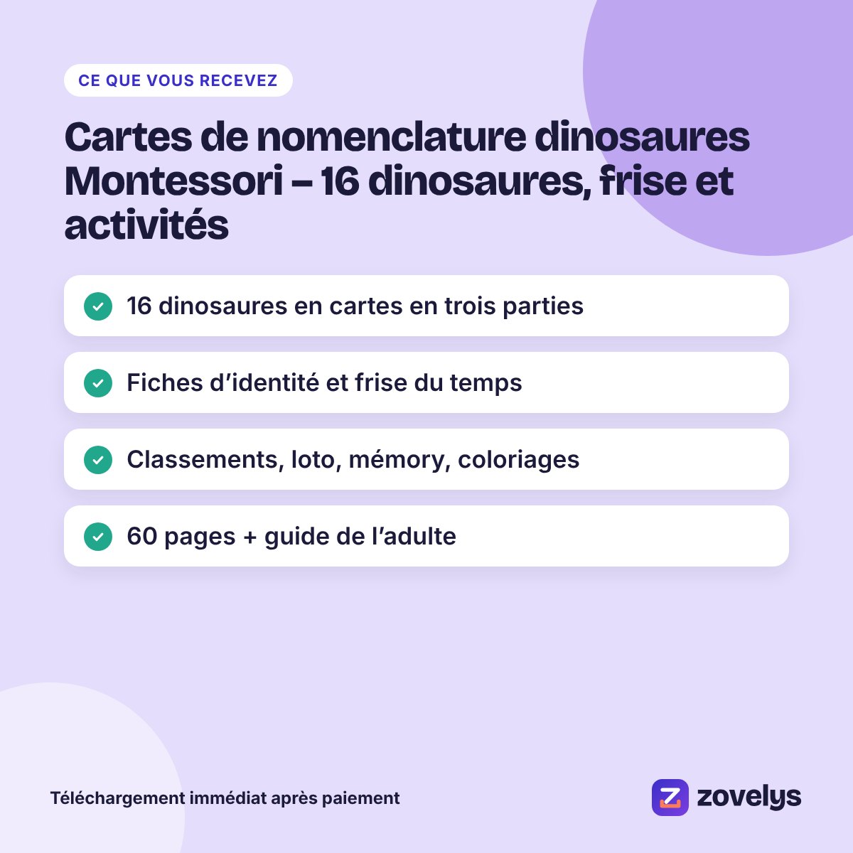 Cartes de nomenclature dinosaures Montessori – 16 dinosaures, frise et activités – aperçu 4