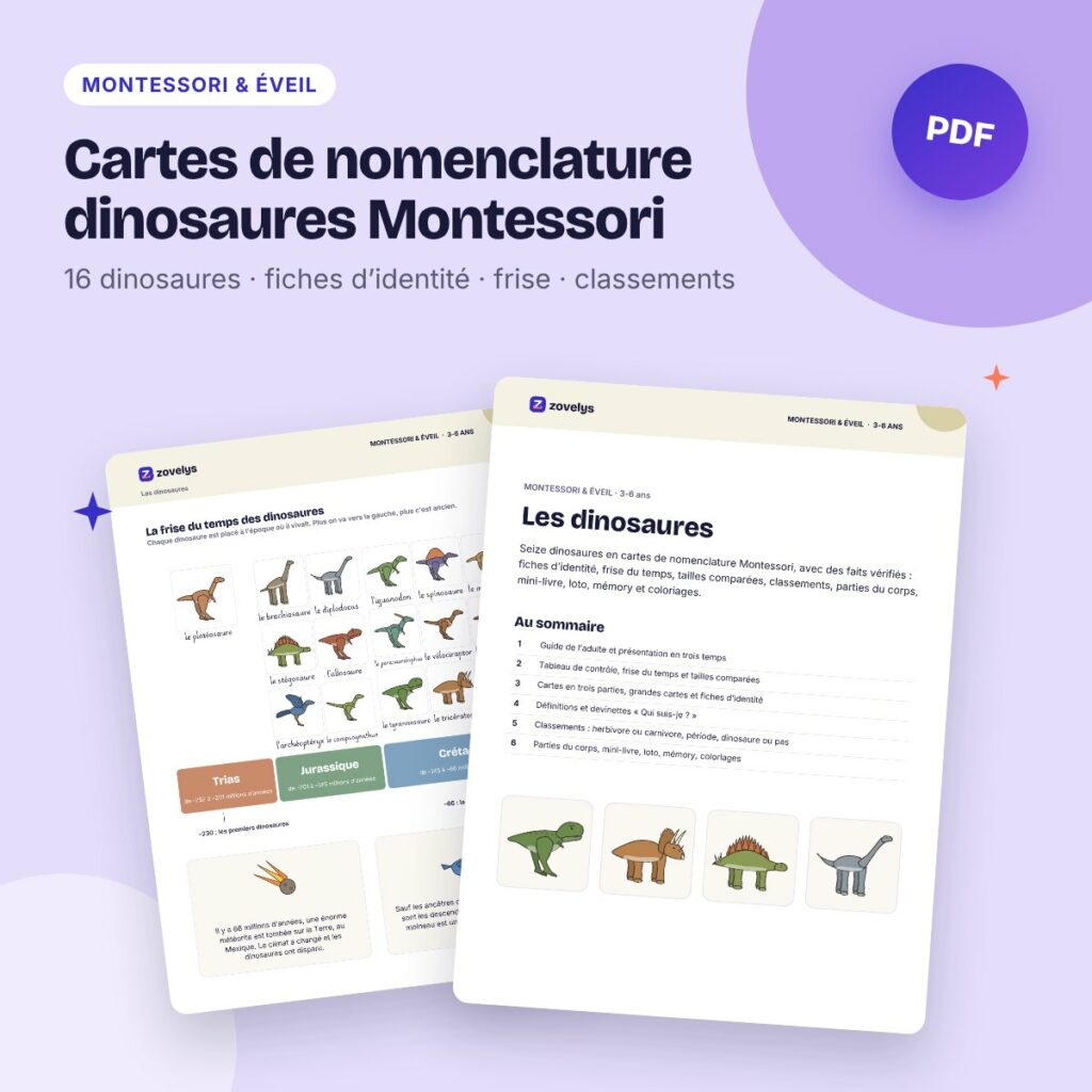 Cartes de nomenclature dinosaures Montessori – 16 dinosaures, frise et activités