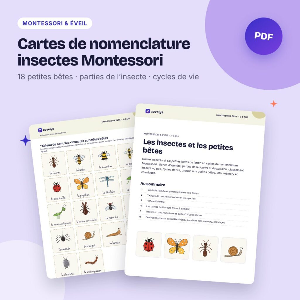 Cartes de nomenclature insectes Montessori – petites bêtes, parties et cycles