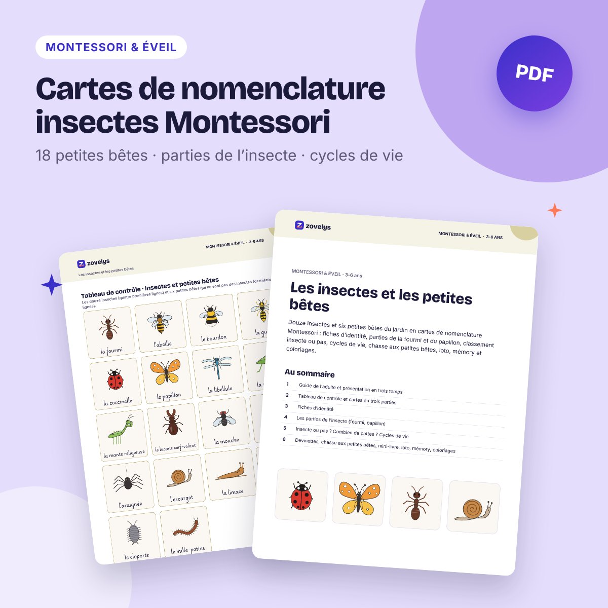 Cartes de nomenclature insectes Montessori – petites bêtes, parties et cycles