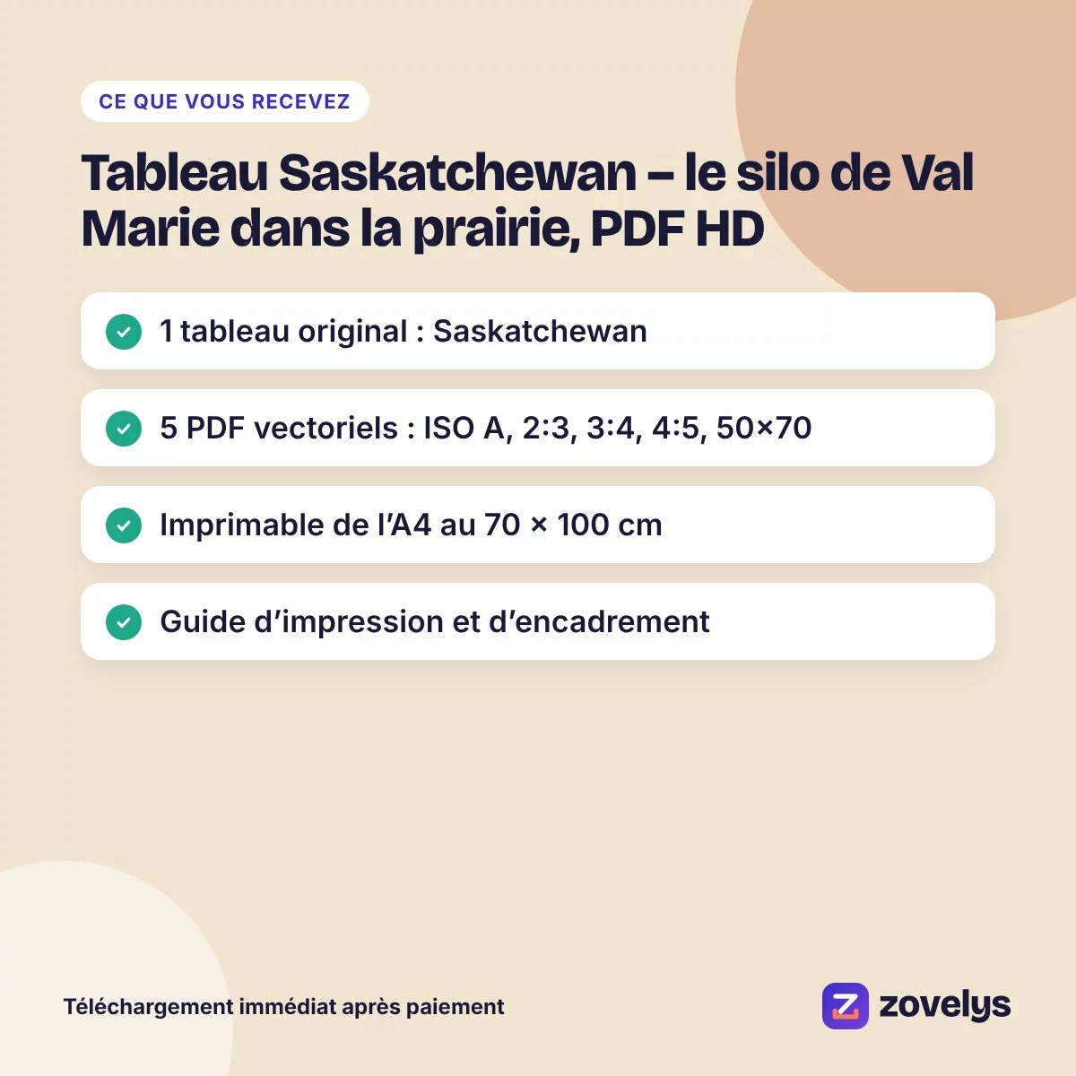 Tableau Saskatchewan – le silo de Val Marie dans la prairie, PDF HD – aperçu 4