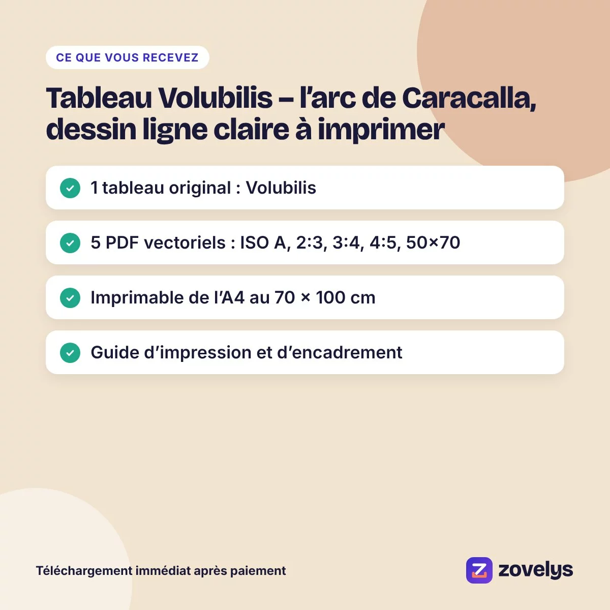 Tableau Volubilis – l’arc de Caracalla, dessin ligne claire à imprimer – aperçu 4