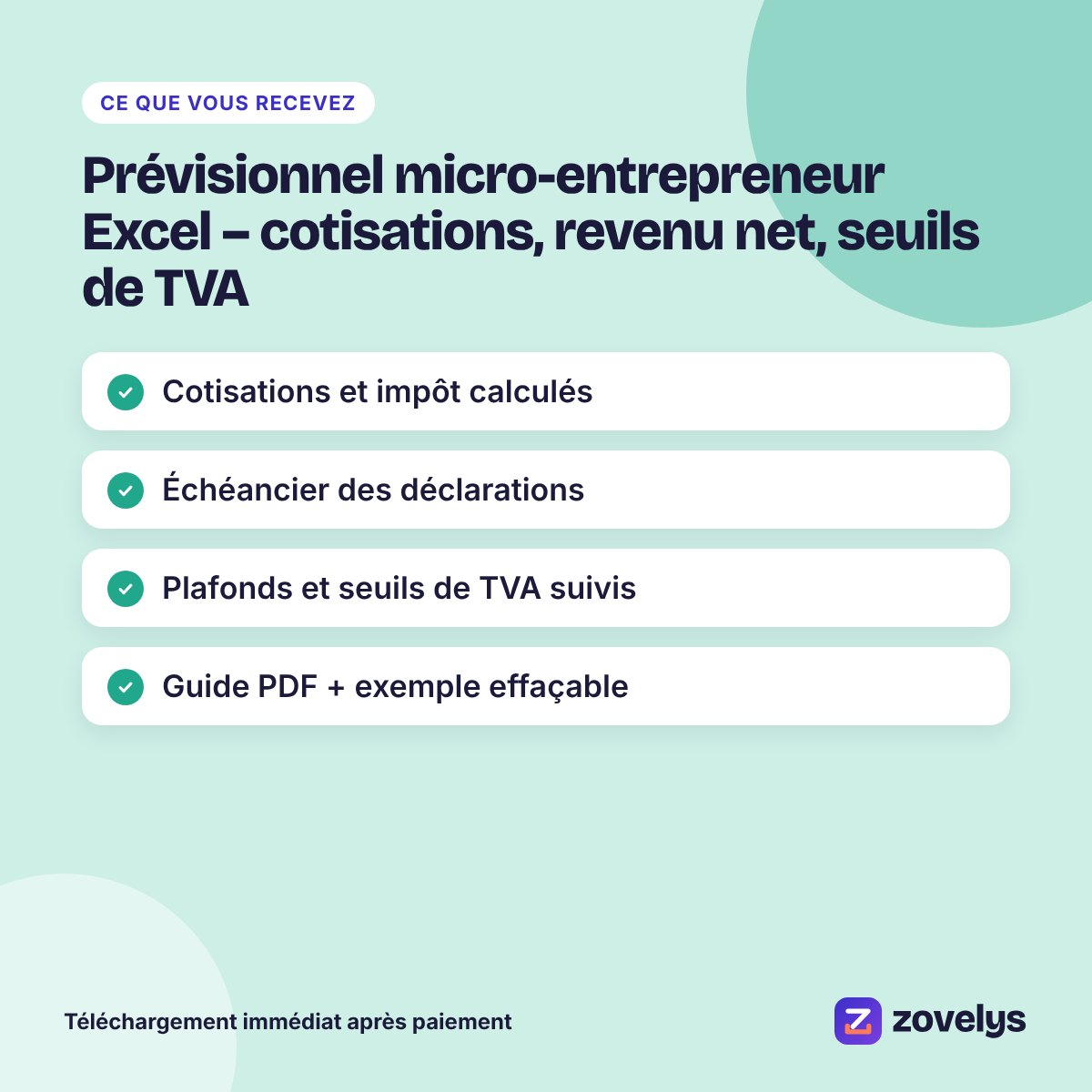 Prévisionnel micro-entrepreneur Excel – cotisations, revenu net, seuils de TVA – aperçu 4