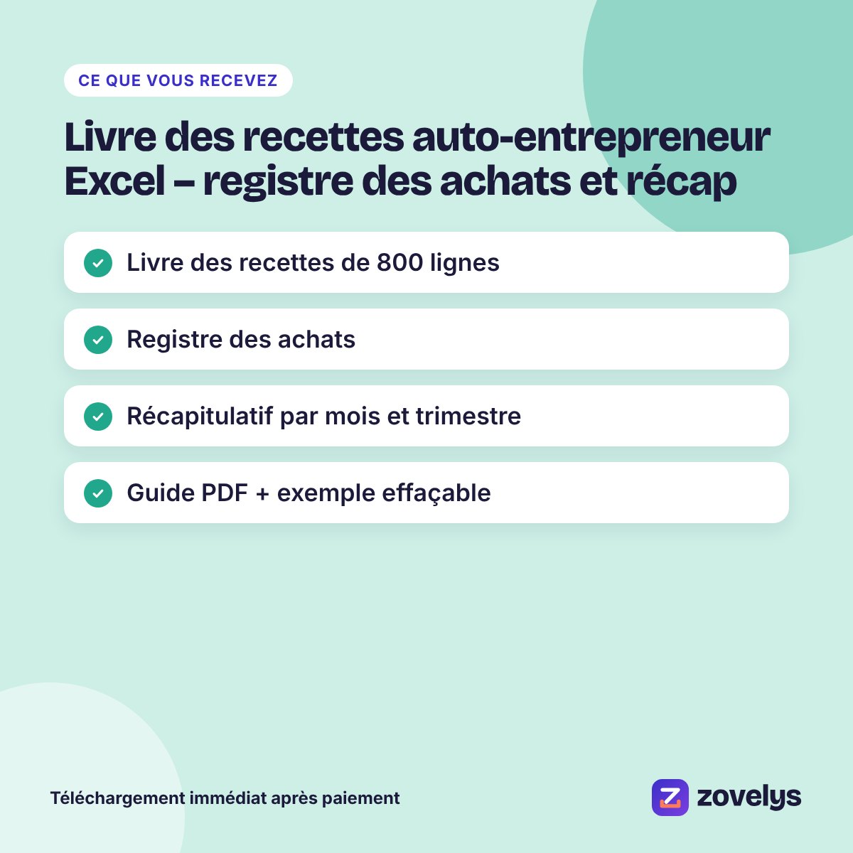 Livre des recettes auto-entrepreneur Excel – registre des achats et récap – aperçu 4