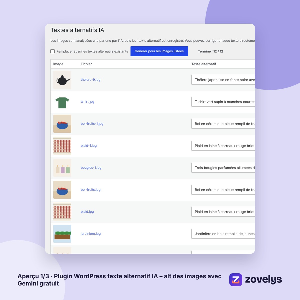 Plugin WordPress texte alternatif IA – alt des images avec Gemini gratuit – aperçu 1