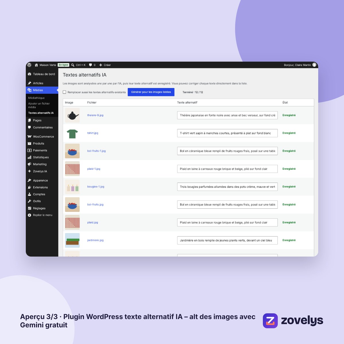 Plugin WordPress texte alternatif IA – alt des images avec Gemini gratuit – aperçu 3