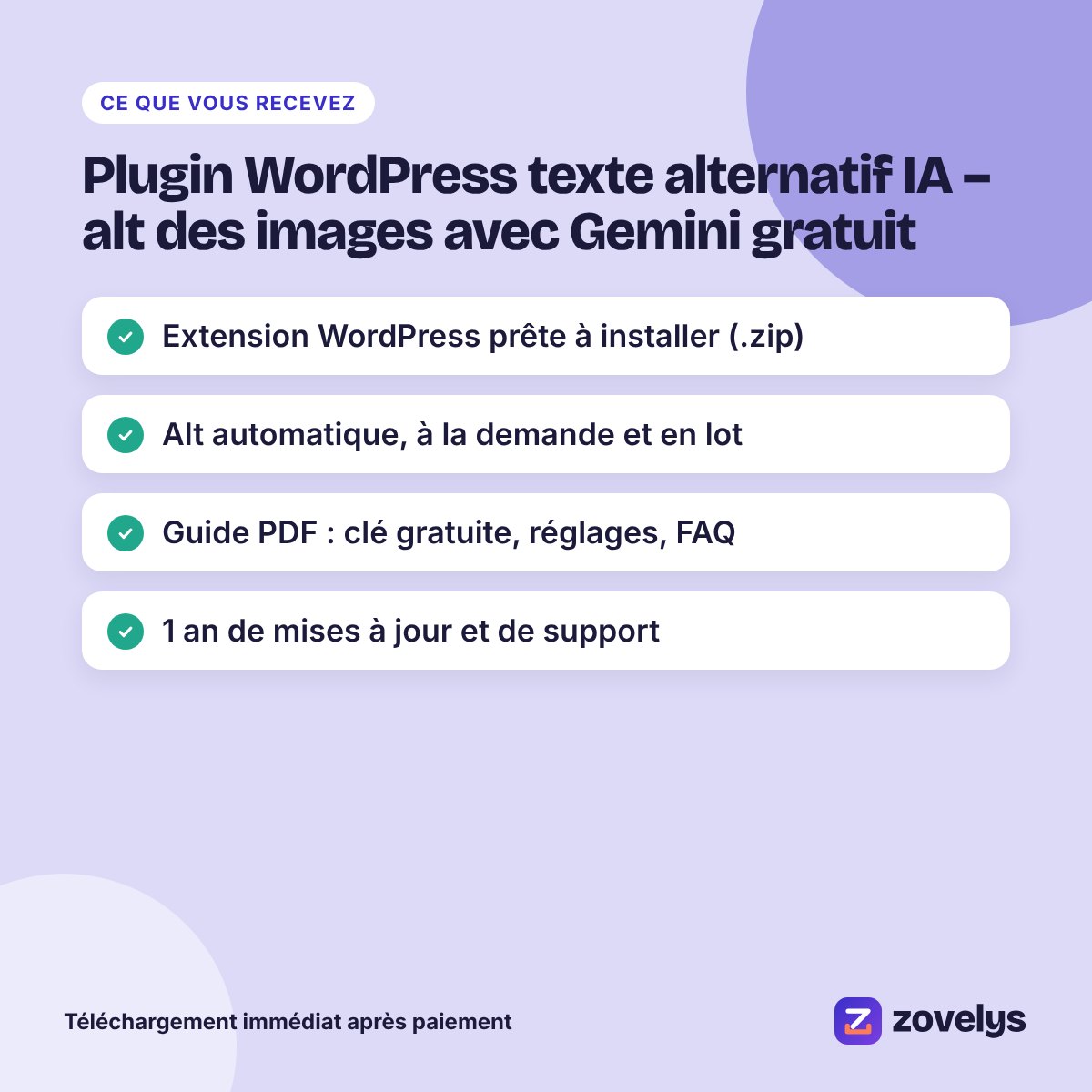 Plugin WordPress texte alternatif IA – alt des images avec Gemini gratuit – aperçu 4
