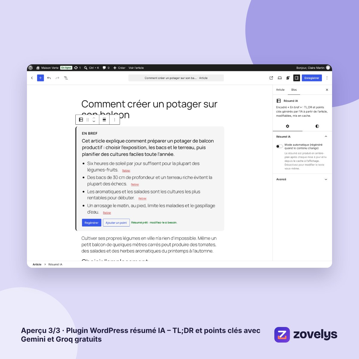 Plugin WordPress résumé IA – TL;DR et points clés avec Gemini et Groq gratuits – aperçu 3