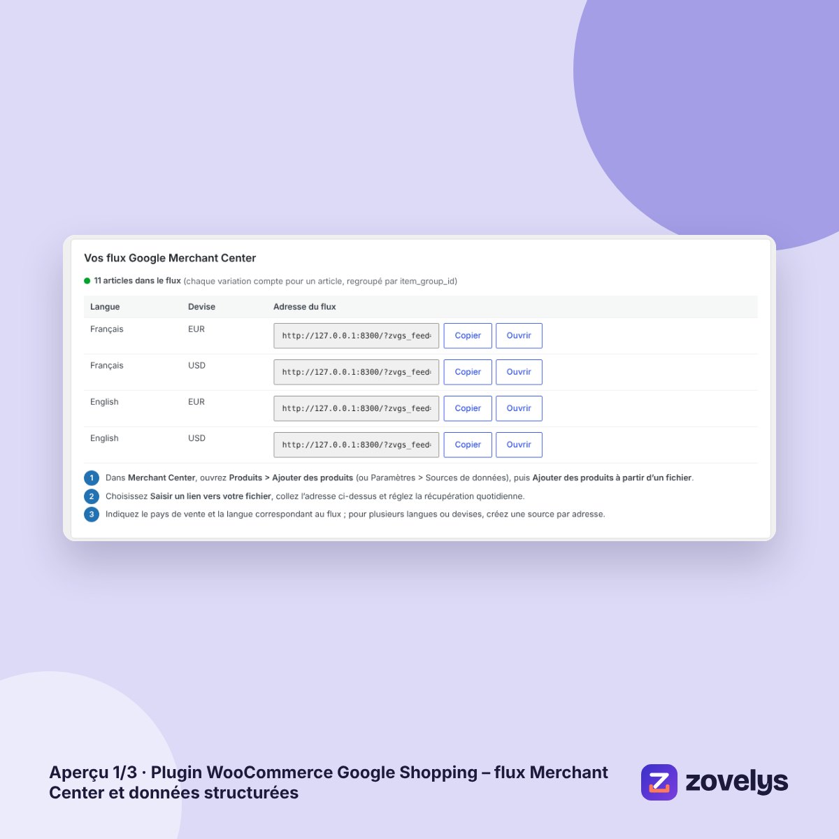 Plugin WooCommerce Google Shopping – flux Merchant Center et données structurées – aperçu 1
