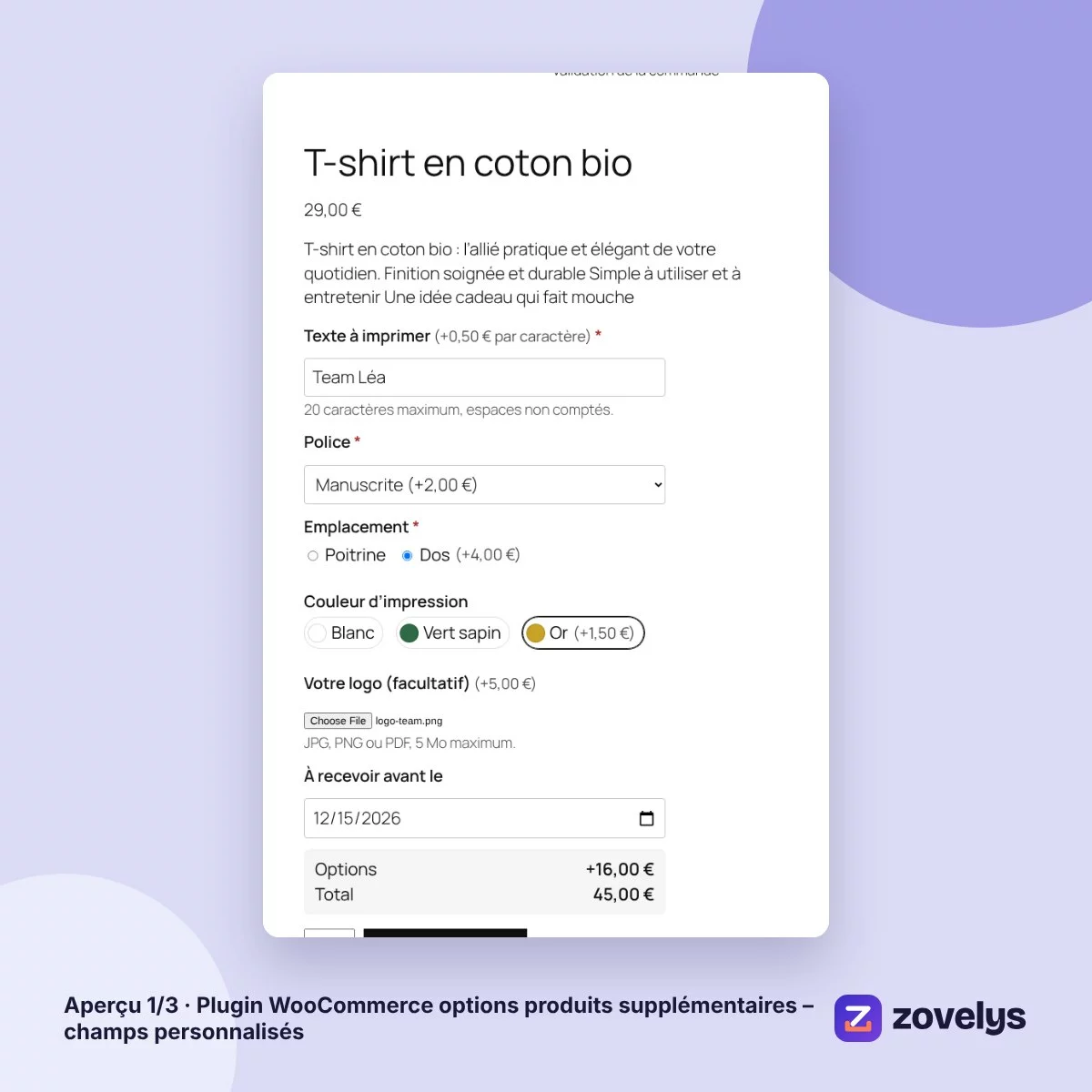 Plugin WooCommerce options produits supplémentaires – champs personnalisés – aperçu 1