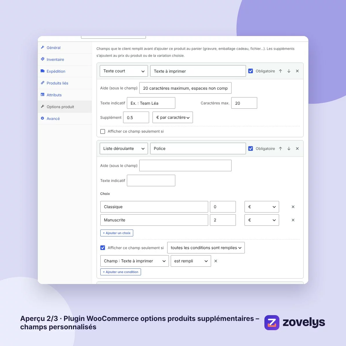 Plugin WooCommerce options produits supplémentaires – champs personnalisés – aperçu 2
