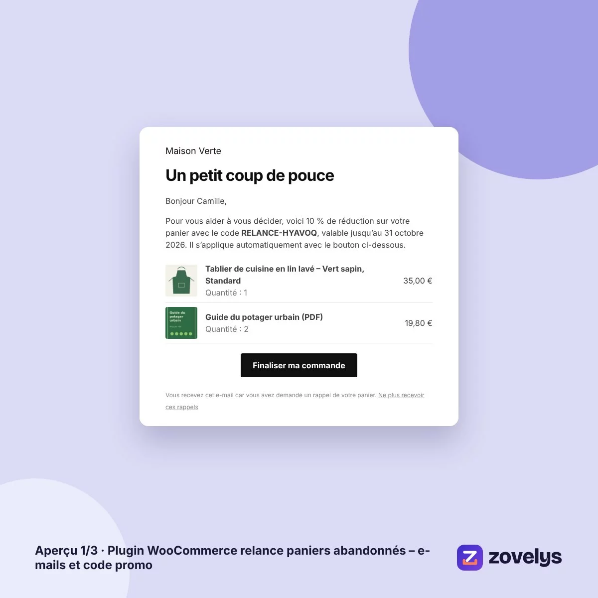 Plugin WooCommerce relance paniers abandonnés – e-mails et code promo – aperçu 1