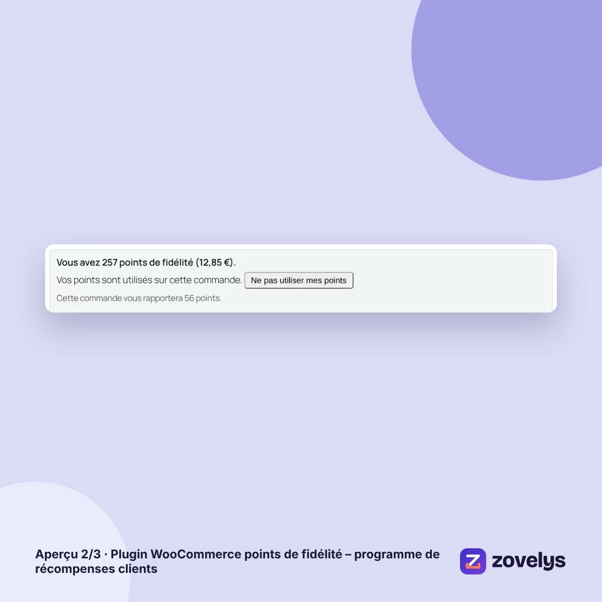 Plugin WooCommerce points de fidélité – programme de récompenses clients – aperçu 2