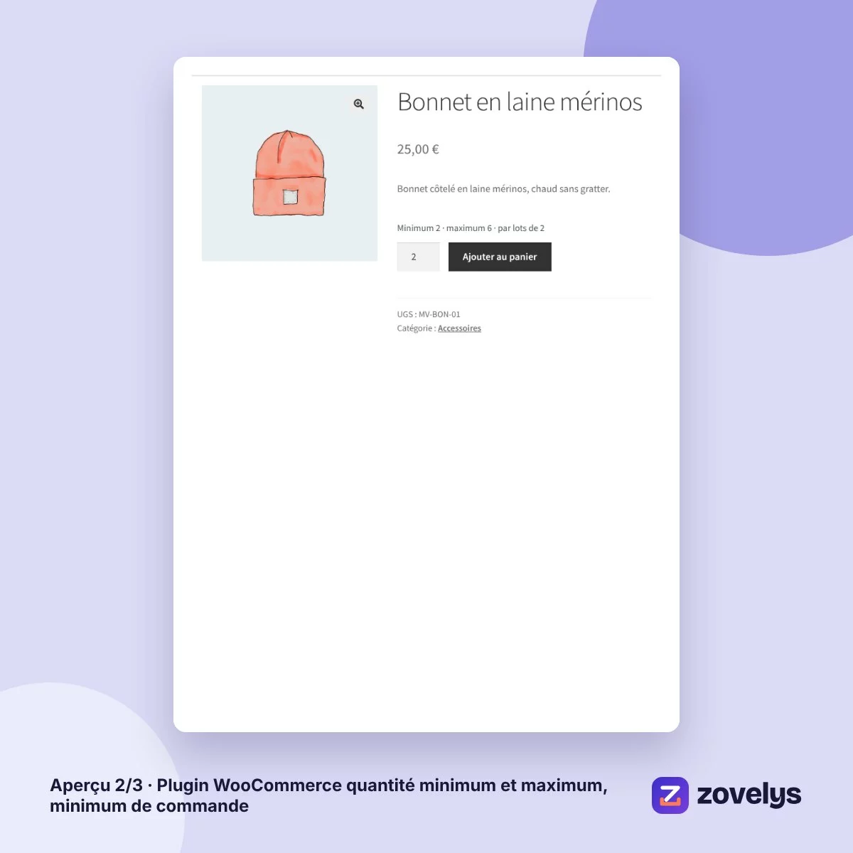 Plugin WooCommerce quantité minimum et maximum, minimum de commande – aperçu 2