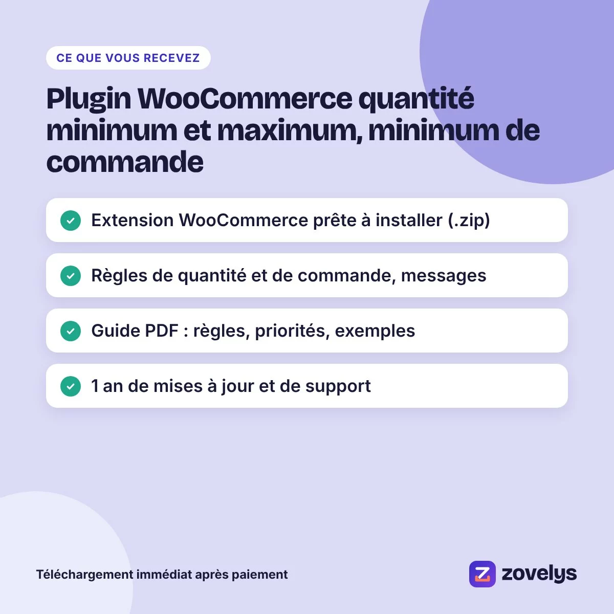Plugin WooCommerce quantité minimum et maximum, minimum de commande – aperçu 4