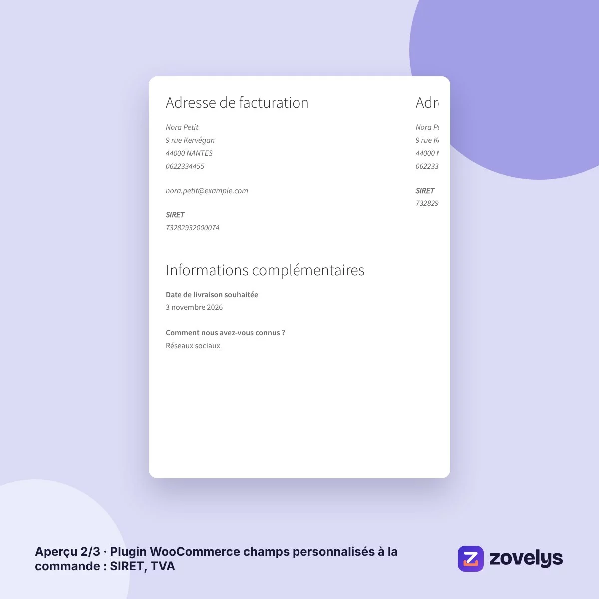 Plugin WooCommerce champs personnalisés à la commande : SIRET, TVA – aperçu 2